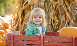 Fall in to Fall Fun - Cider, Corn Mazes & Pumpkins